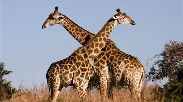 旅游年卡分享网
