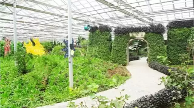 旅游年卡分享网