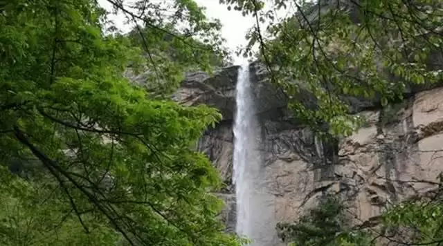 旅游年卡分享网