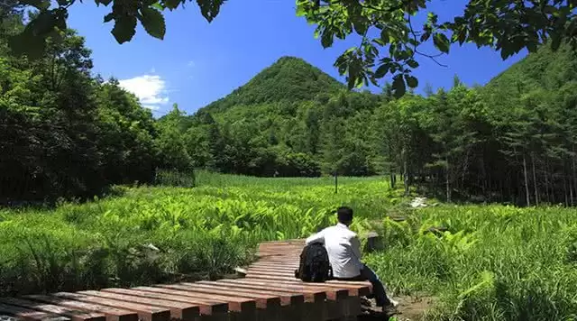 旅游年卡分享网