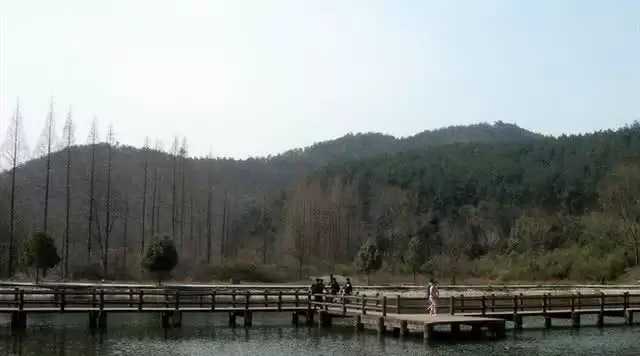 旅游年卡分享网