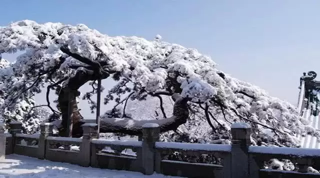 旅游年卡分享网