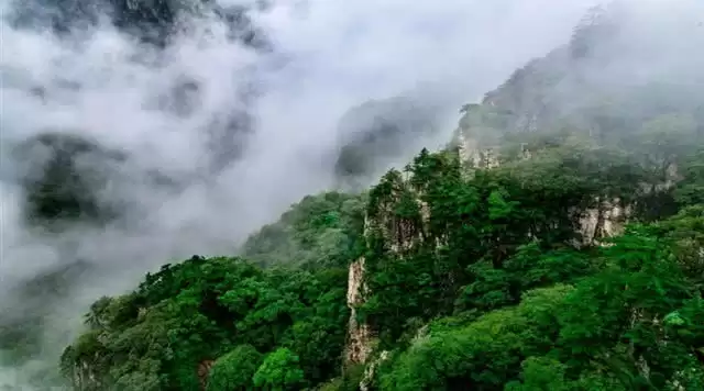 旅游年卡分享网