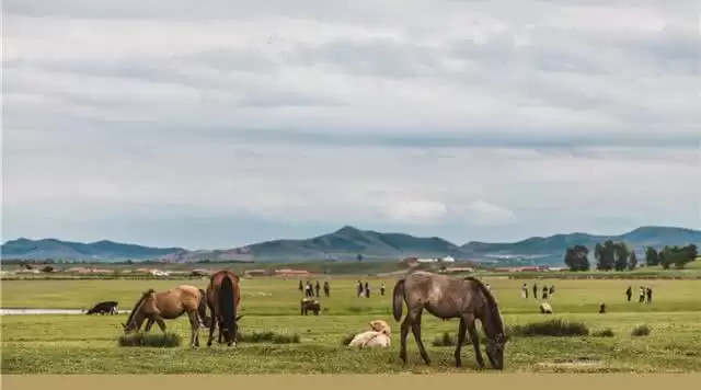 旅游年卡分享网