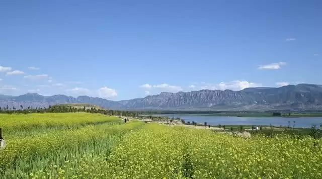 旅游年卡分享网