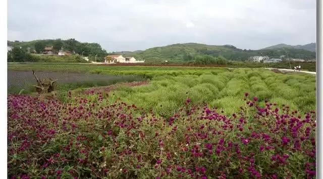 旅游年卡分享网