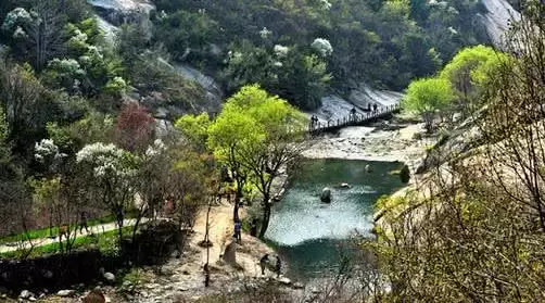 旅游年卡分享网