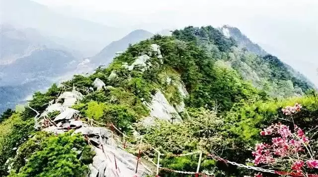 旅游年卡分享网
