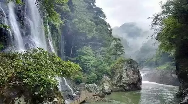 旅游年卡分享网