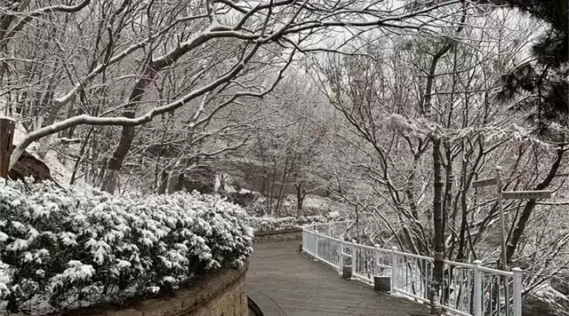旅游年卡分享网