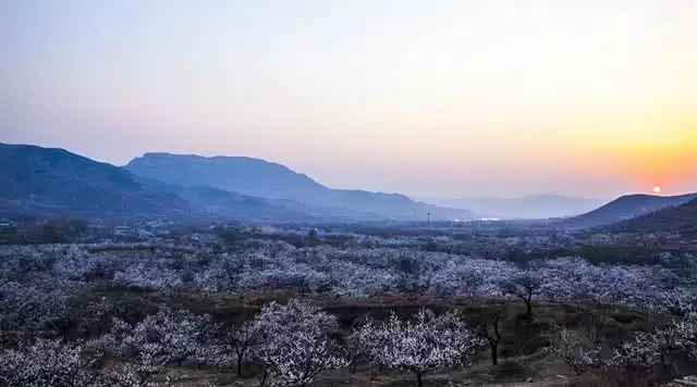旅游年卡分享网