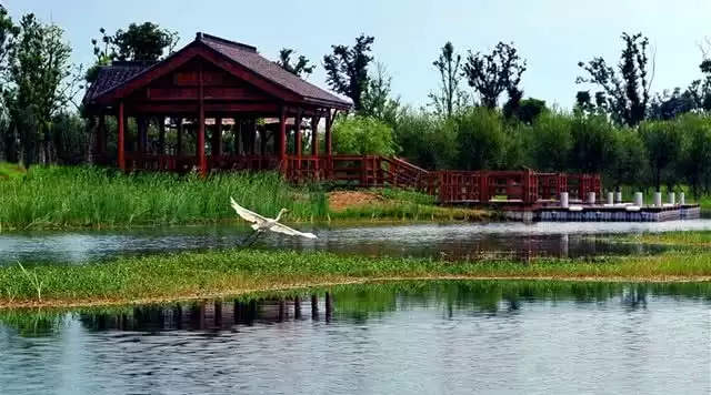 旅游年卡分享网