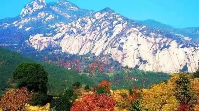 旅游年卡分享网