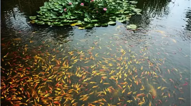 旅游年卡分享网