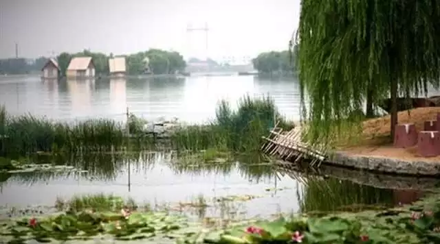 旅游年卡分享网