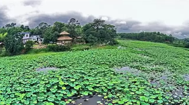 旅游年卡分享网