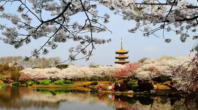 旅游年卡分享网