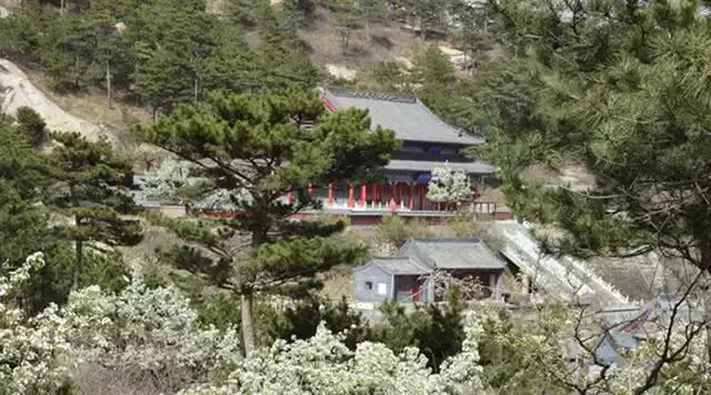 旅游年卡分享网