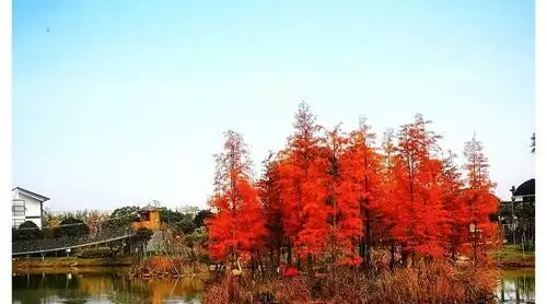 旅游年卡分享网