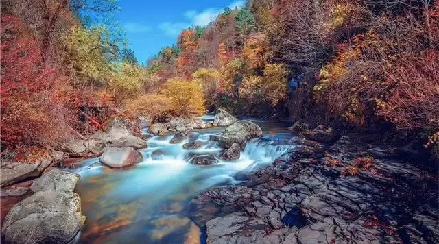 旅游年卡分享网