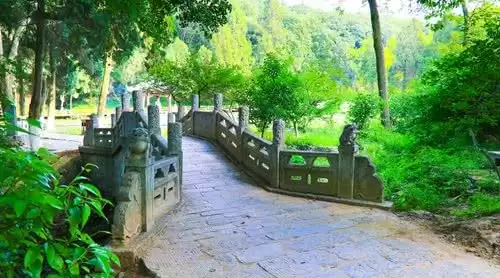 旅游年卡分享网