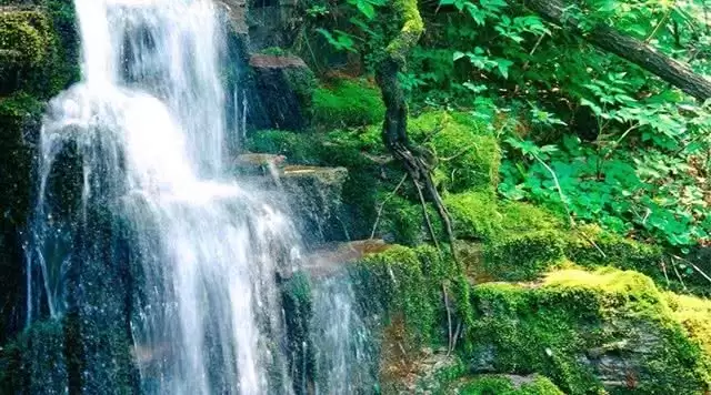 旅游年卡分享网
