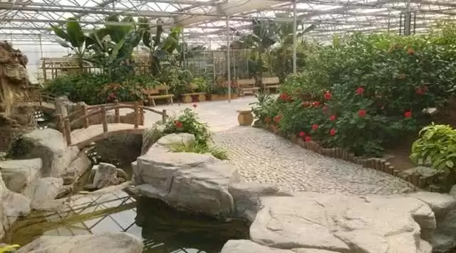 旅游年卡分享网