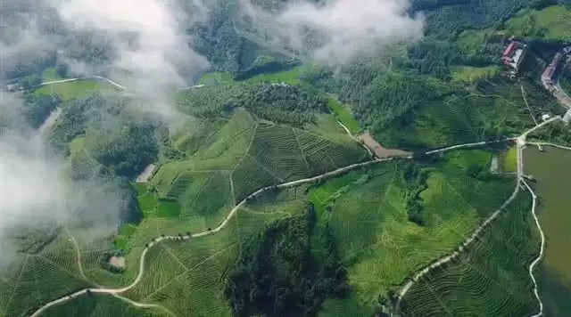旅游年卡分享网