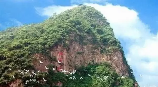 旅游年卡分享网