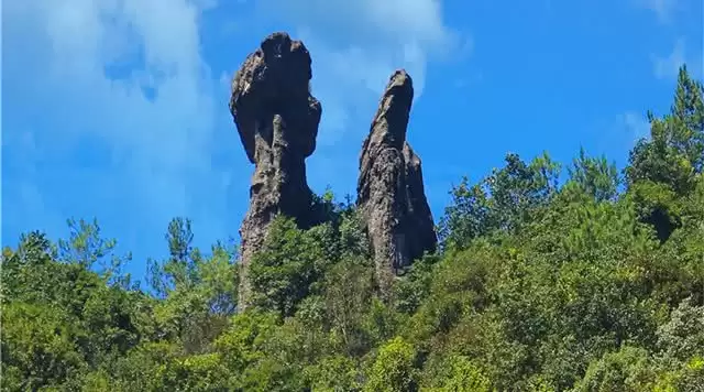 旅游年卡分享网