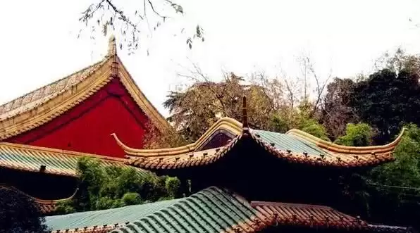 旅游年卡分享网