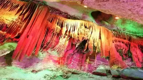 旅游年卡分享网