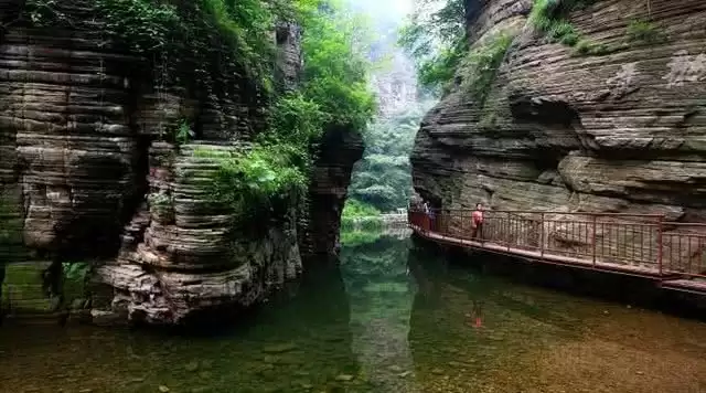 旅游年卡分享网