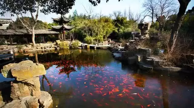 旅游年卡分享网