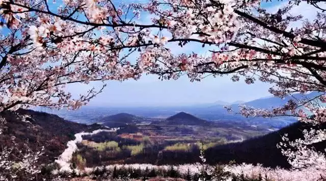 旅游年卡分享网