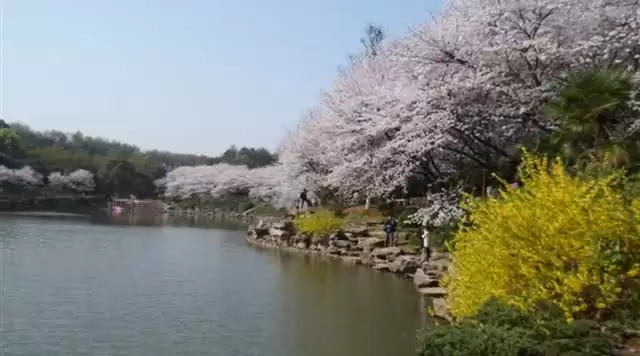 旅游年卡分享网