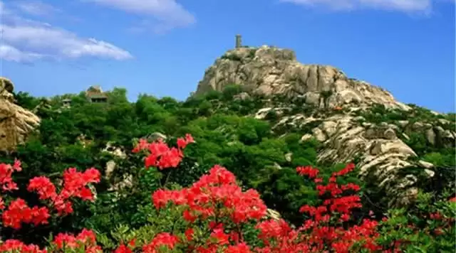 旅游年卡分享网