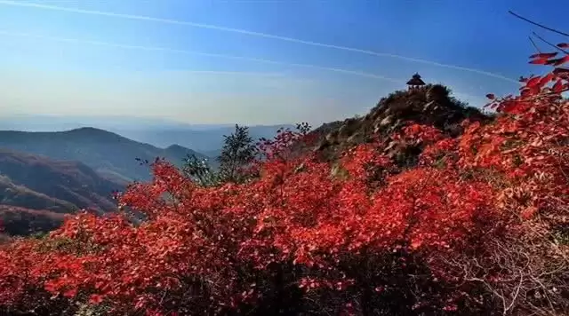 旅游年卡分享网