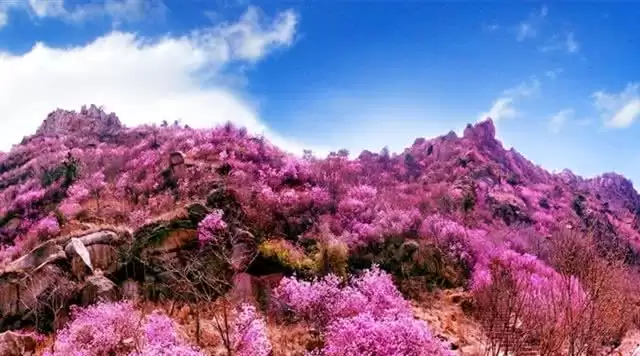 旅游年卡分享网