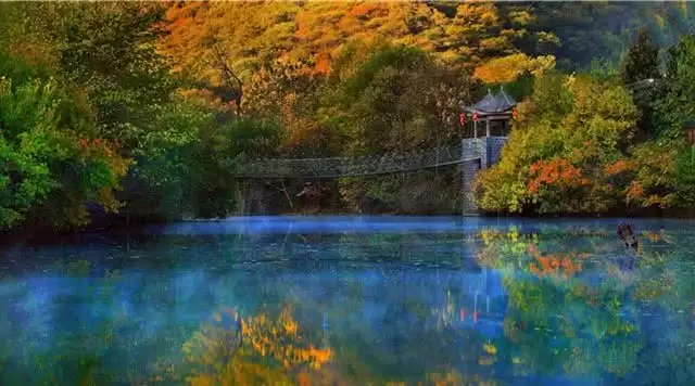 旅游年卡分享网