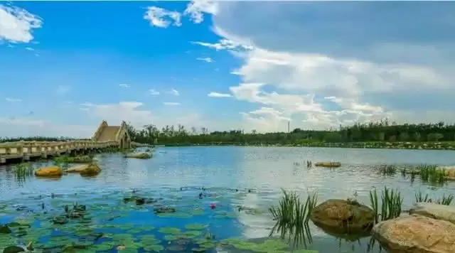旅游年卡分享网