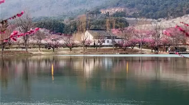 旅游年卡分享网