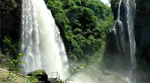 旅游年卡分享网