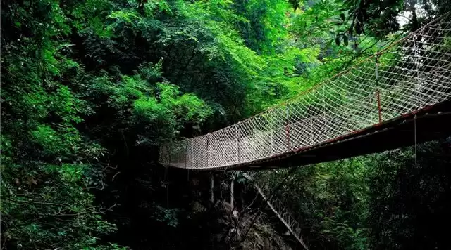 旅游年卡分享网