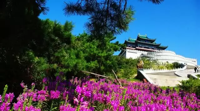 旅游年卡分享网