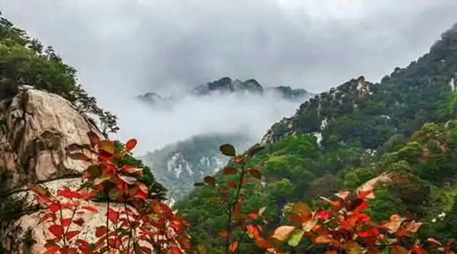 旅游年卡分享网