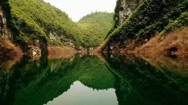 旅游年卡分享网