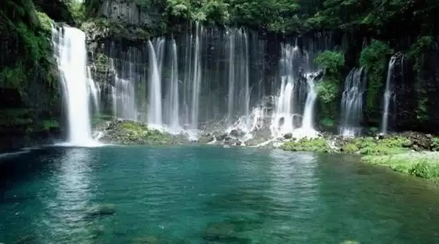 旅游年卡分享网