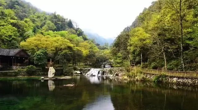 旅游年卡分享网