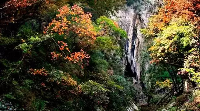 旅游年卡分享网
